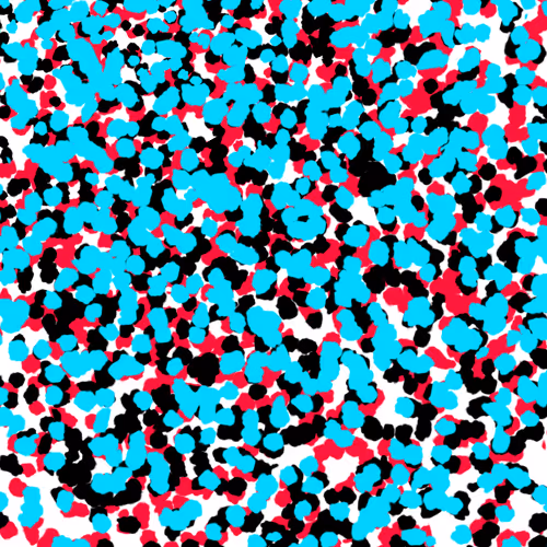 Atomic fragments by Santos