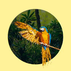 Melting Parrot