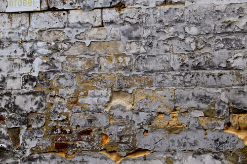 Item #916077490281078954391891268022086119289121145792755899354399206824543780865 Media