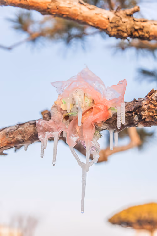 Item #56287295829887504958862107058149038286908875218999637654997635488544702070785 Media