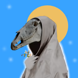 Horse Face