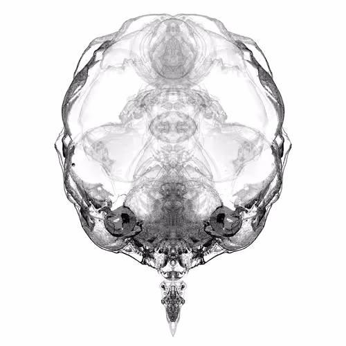 85859191866638808365331437874953228966785819470149775310971062259861273182209