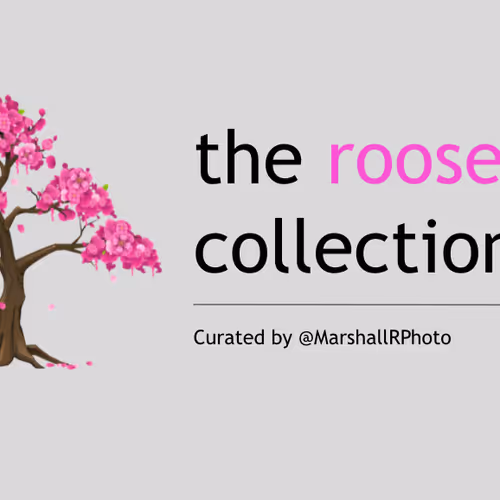 Marshall_Reisig Collection