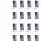 40965071476636362352738516628242741010674990769097619788306686496655640887297