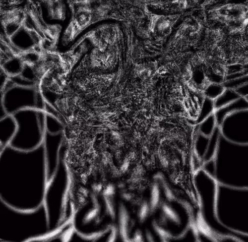 Item #33293457058661275056775848170303775746271351105386188312509916051045567430657 Media