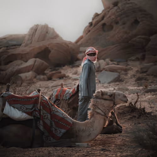 9786954614263872239675759573752117098889626184516004593243317290757435424769