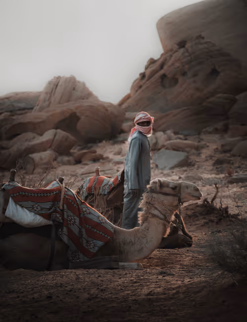 Item #9786954614263872239675759573752117098889626184516004593243317290757435424769 Media