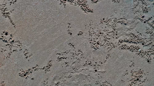 Item #90989002574259779699628544146033924085184730772838588916455612622137861341185 Media