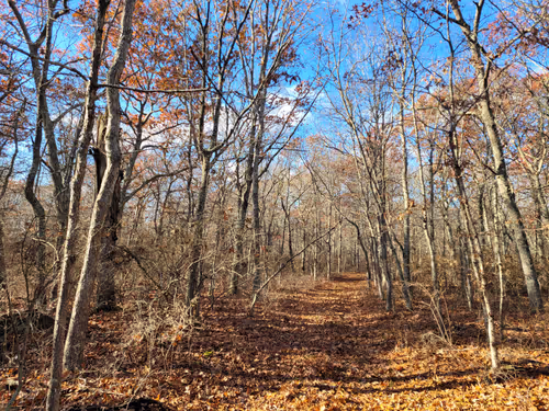 Item #34085441569699423005310991372941828806155687762378495952169943229661662150657 Media