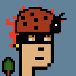 Ladybug Punk #8947