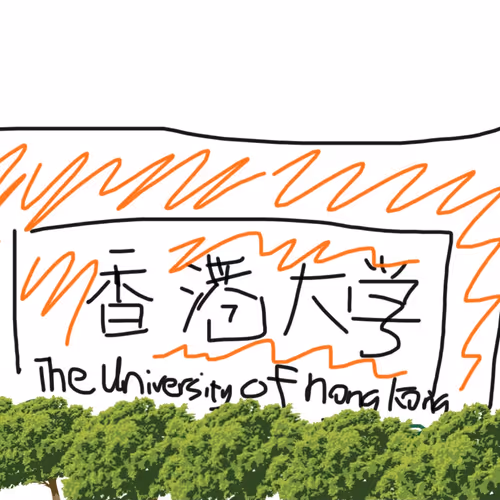 The University Of Hong Kong