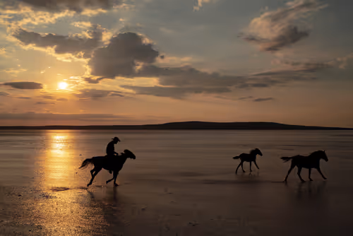 Item #103012301657456598627464593711191492996341926608798375780323323113118967529473 Media