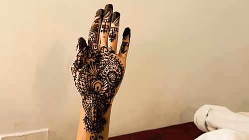 Cryptowolf07 Collection