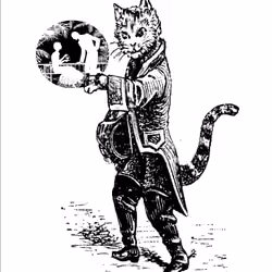 Mr Cat #2
