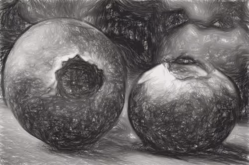 Food Sketches Studies