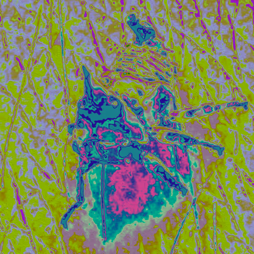 Item #49349444770609105686801470716655642132398722781916722844497336664991276728321 Media