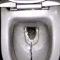 12660136923828748263426703316480839463053827608546839420335324312083923730433