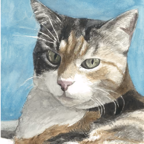 Cat Illustration #10