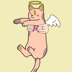 LOST_CATS_NFT#023