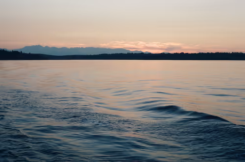 Item #95633765474931350240165697288740384276668175365753332134829565014569792831489 Media