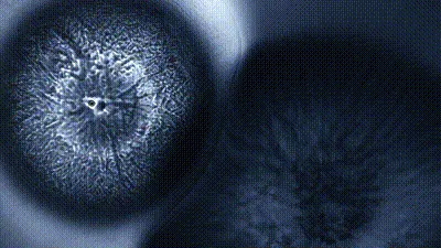 Item #75810030375034016759421565654434729900065548320736367100302012628684582682625 Media