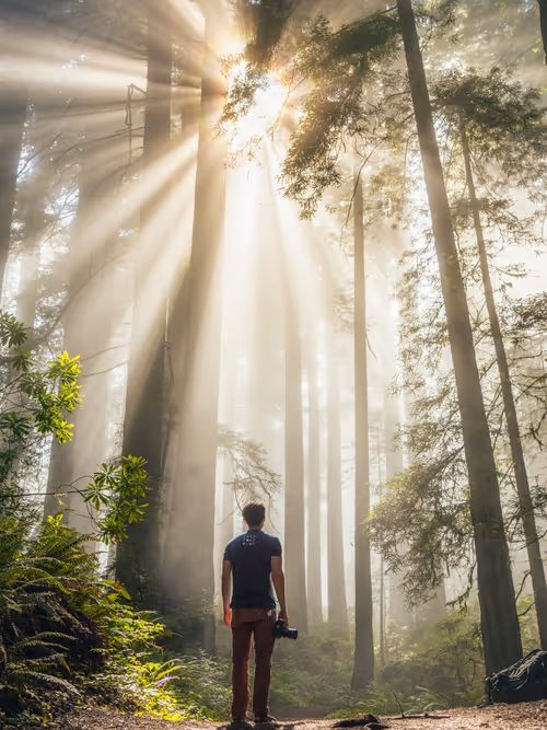 Item #99379921276153973634104125152908526548510783699959858376338453572205569638401 Media