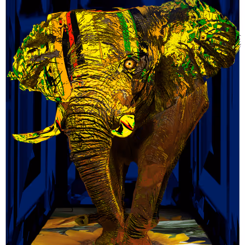 Phrases, Expressions, Idioms and Concepts