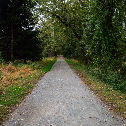 The Path Of Life