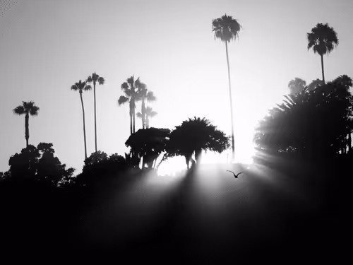 LM001