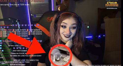 Item #22884241969819601563395113711218083003971174542806521515441651272791275601921 Media