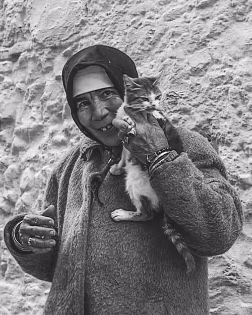 Item #100029680268819157788260451638745851951726079693857108390088243083962608517121 Media