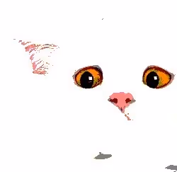 23538819986925566434507765811444276093104658907602947149672917481246393630721