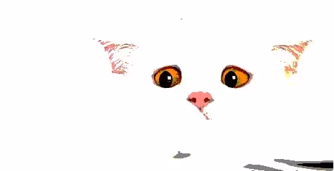 23538819986925566434507765811444276093104658907602947149672917481246393630721