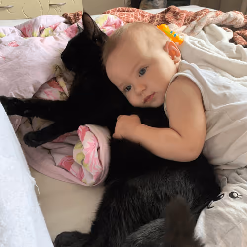 Life and travels of Agatha