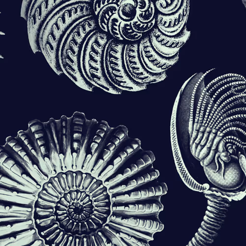 TakeshiGitano Collection - old V2