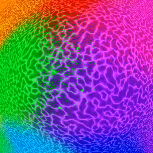 Item #112722581532648450707898821289278771975137055615280875411573414195294952751105 Media