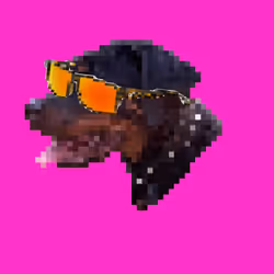 BAD.ROTTY RARE