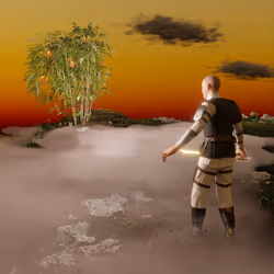 105765653970510533122289953890677374467333873258090426512252849618009441959937