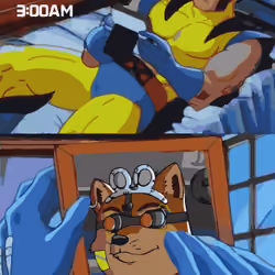 DOGEX WOLVERINE MEME