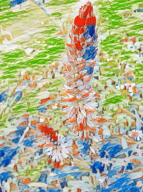 Item #69261177602478584146078213691104273677815526894191982293268528027766674685953 Media