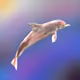 78351606469900668978631196706439437885182813732525556112588896866513771823105