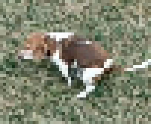 Item #21586066079442703507287287538189466399209856477752404633085227245624920899585 Media