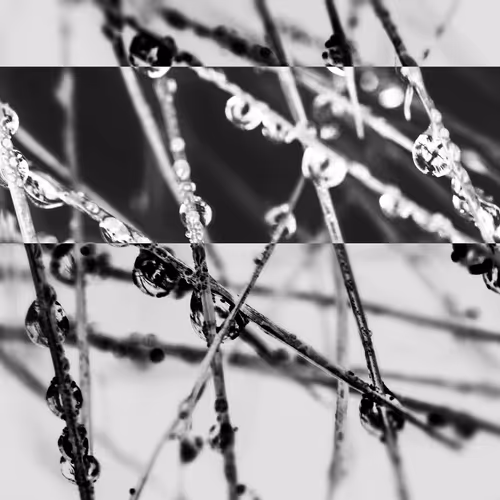 Item #16242110343075384695976872511431893746584995890381912354078390081100925894657 Media