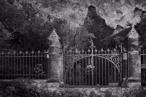 Item #40160686583094733528677484039903516258611509642019211679321071667276909903873 Media