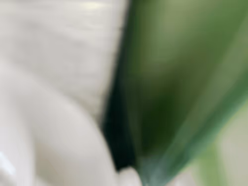 Item #34814088845477629227704468099299342434369579888194691644291829497098257039361 Media