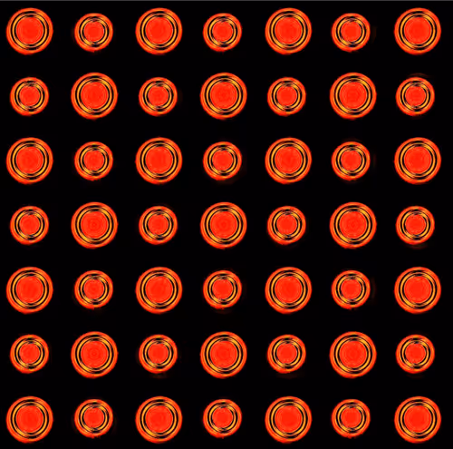 Item #30901052256179993207241149440804297564182279525546597488206050102015015518209 Media