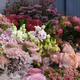 409ZEIT Collection