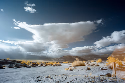 Item #19370616966559748584435896432036154917692480584478998448395270151700414988289 Media