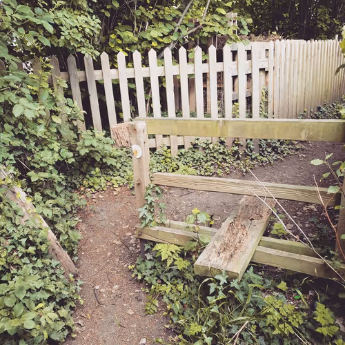 Item #105237010342582609876748436582366170093723610565651913513256945287482891567105 Media