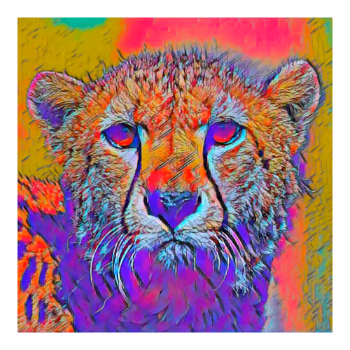 #009 - Cheetah